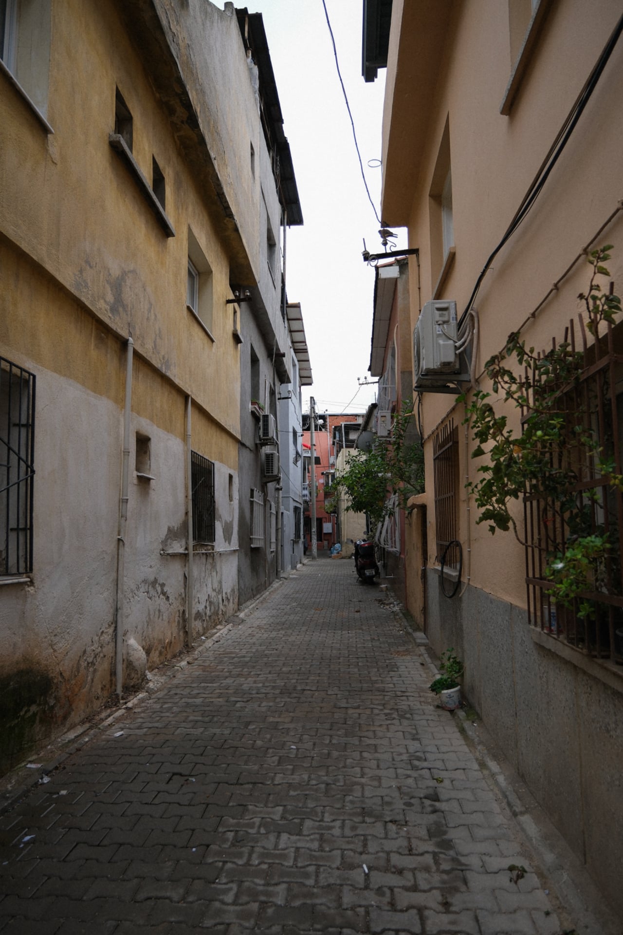 izmir’s//standarts — 9